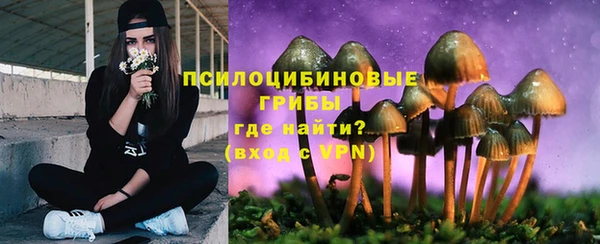 PSILOCYBIN Белоозёрский