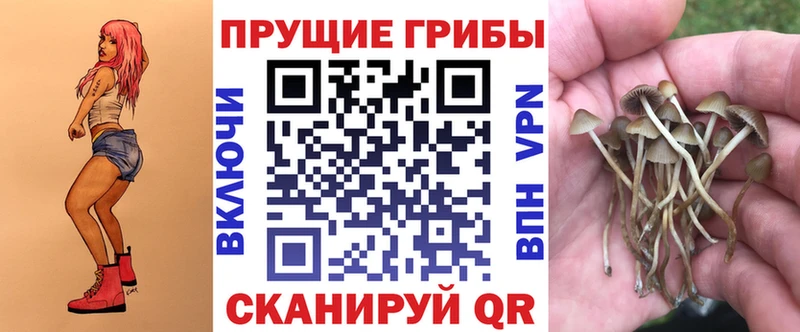 сколько стоит  Рудня  mega ссылка  Галлюциногенные грибы Magic Shrooms 